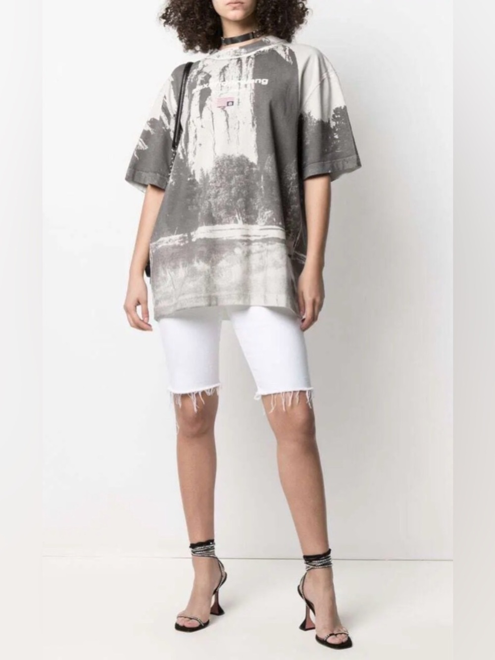 Alexander Wang SS21 Chapel Rock Graphic Tee Grey T-Shirt Unisex Size M